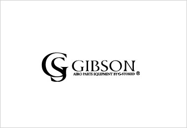 GIBSON 写真2
