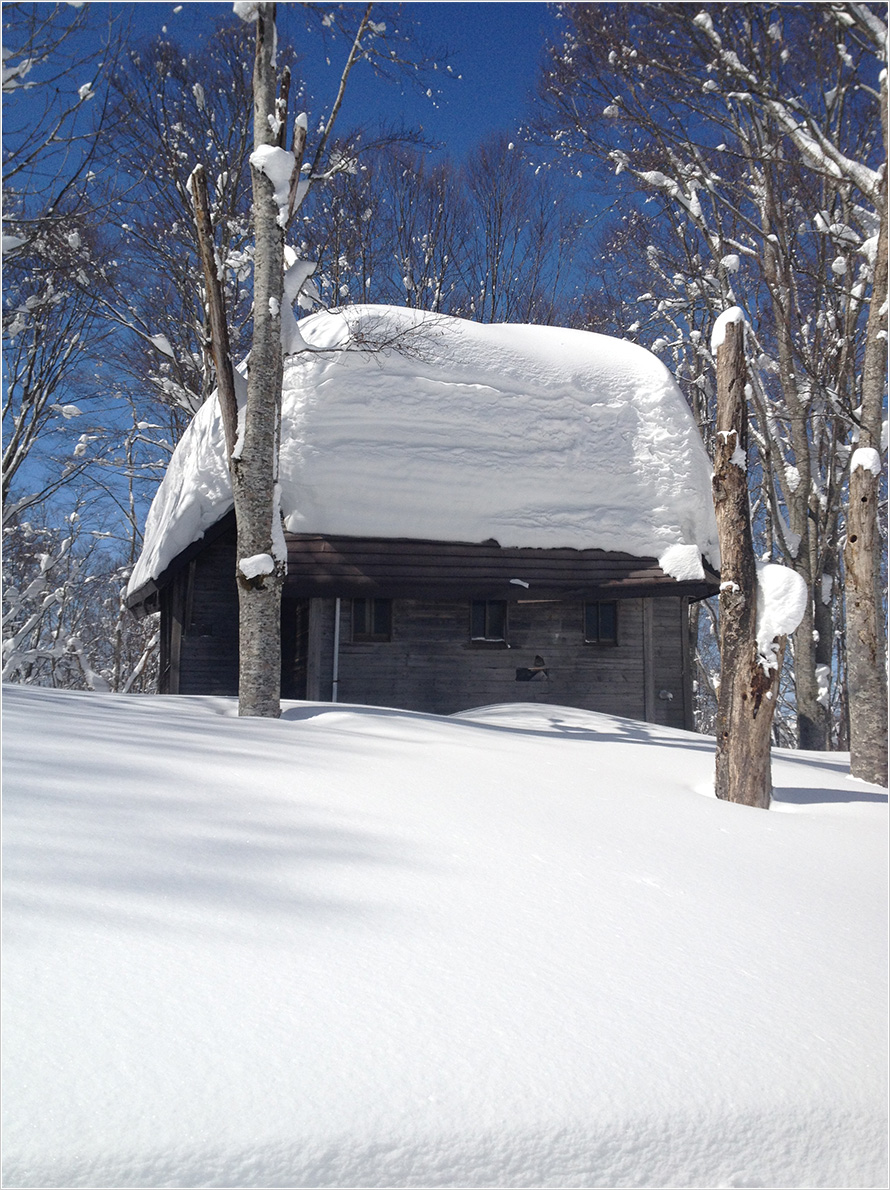 Matsumoto Hiroshi photo