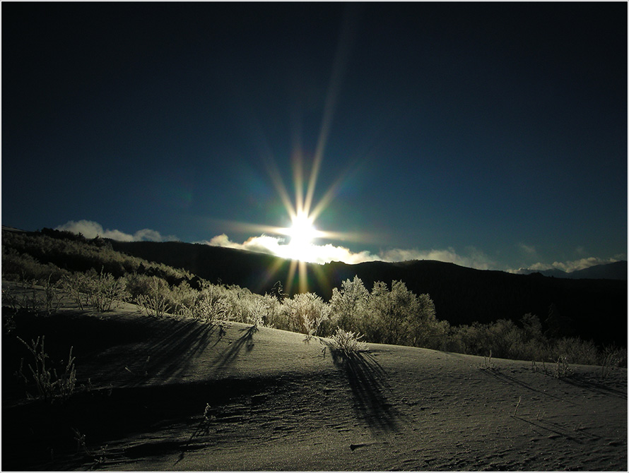 satoshi saitou photo